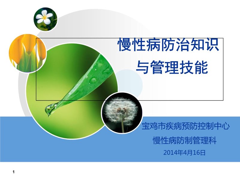 成都营养学会动态：推动社区健康生活的新篇章