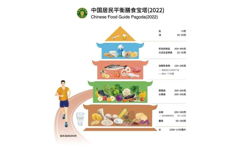 成都市营养学会在提升居民健康意识方面的努力与创新